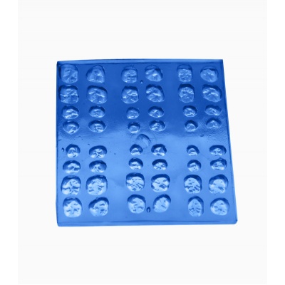 Molde de Caras Oclusales